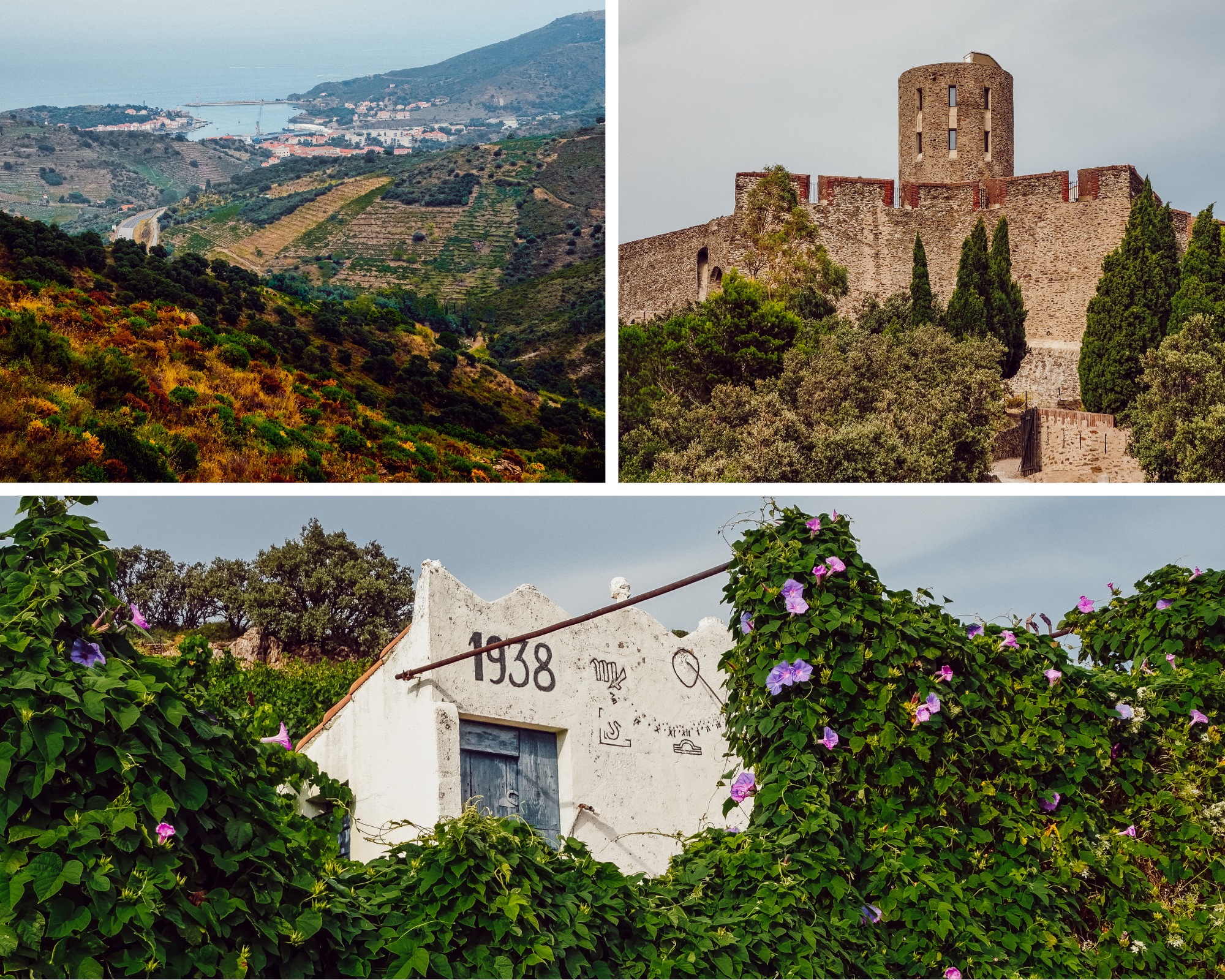 Randonnée des Hauts de Collioure : arrivée sur le fort Saint Elme